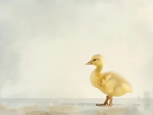 Pictures for Children room – Fluffy Duckling