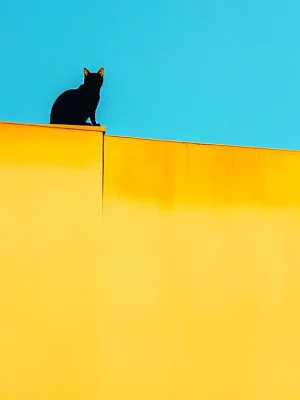 Animal Posters – Black Cat Above