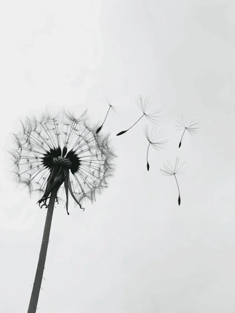 Minimalistic Posters – Dandelion Drift