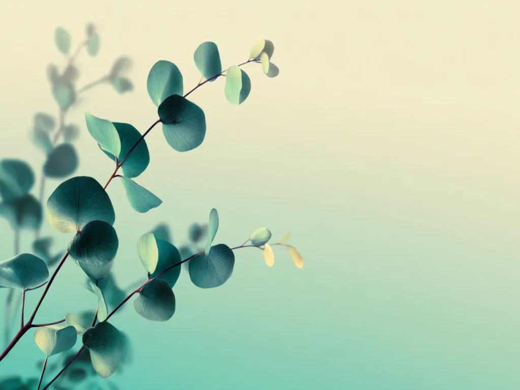 Minimalistic Posters – Eucalyptus Flow