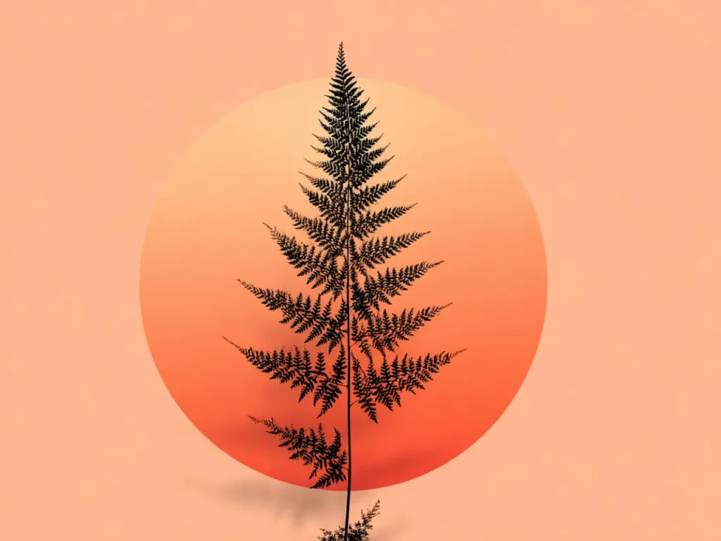 Minimalistic Posters – Fern at Dusk