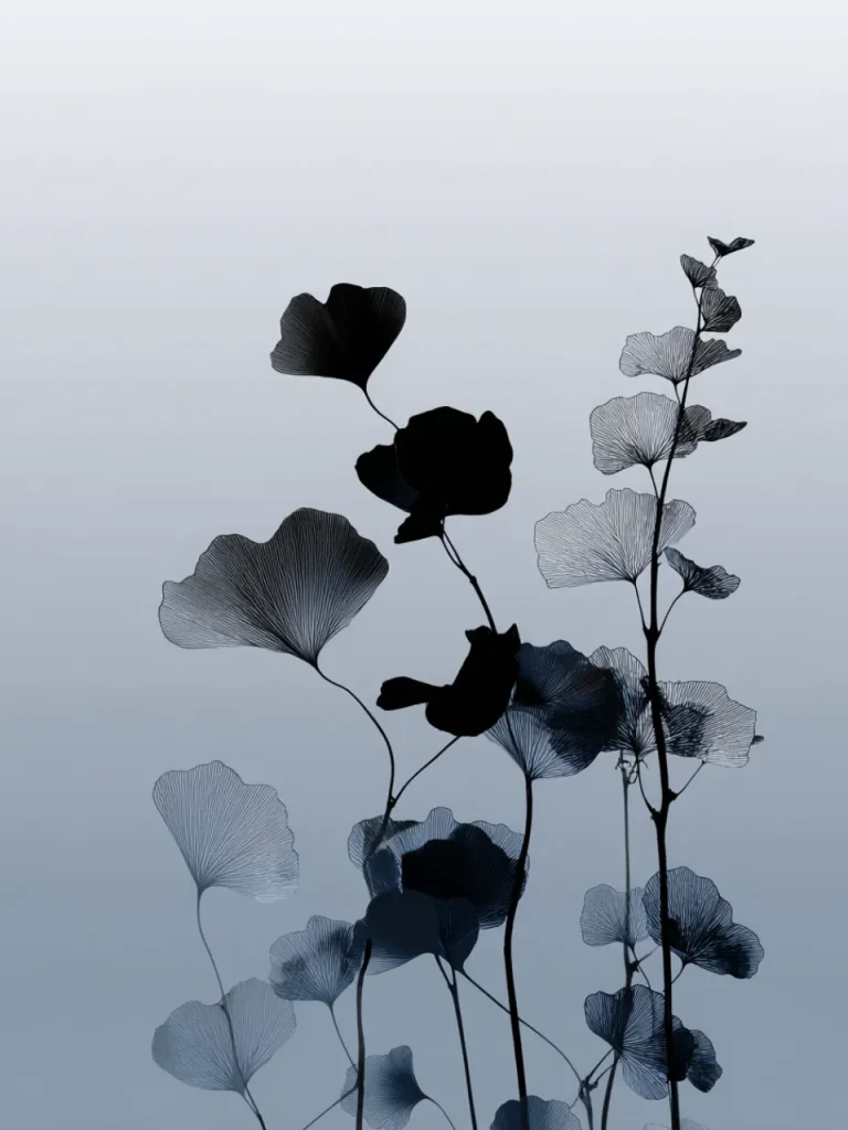 Minimalistic Posters – Ginkgo Shadows
