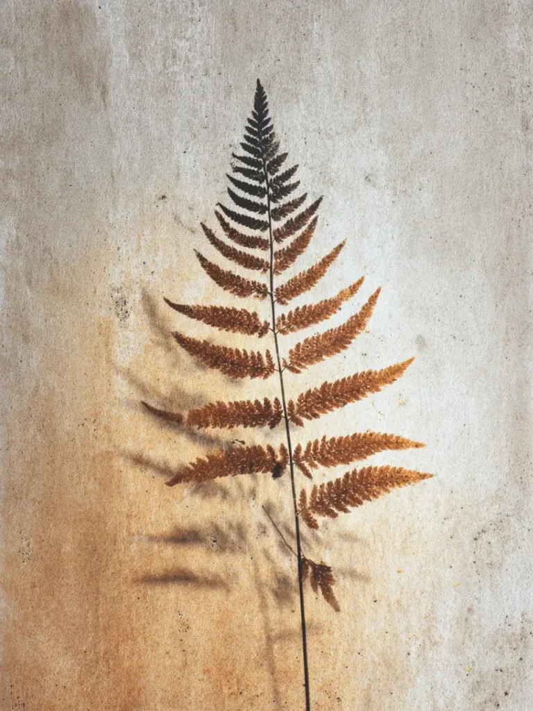 Minimalistic Posters – Rusted Fern