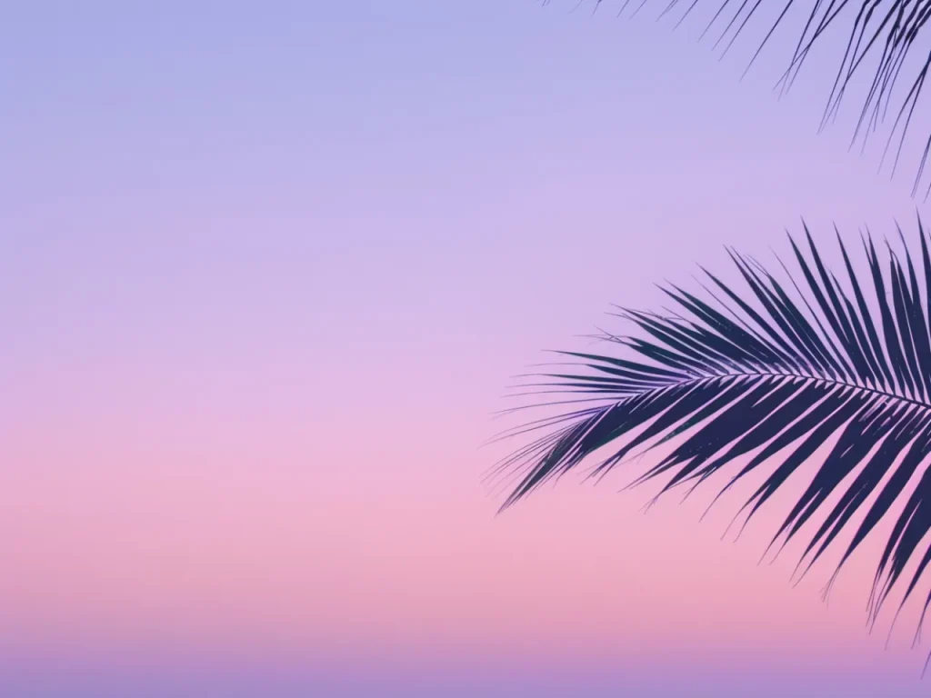 Minimalistic Posters – Sunset Palm Fade